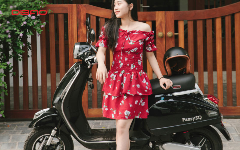 Với người yêu thích phong cách trẻ trung, hiện đại, Dibao Pansy SQ là lựa chọn phù hợp